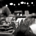 london photographic association still-life contest winner Lesley�Smith